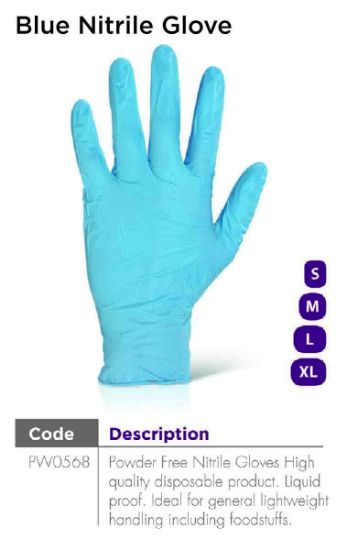 Picture of Blue Nitrile Glove 