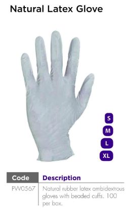 Picture of Natural Latex Glove